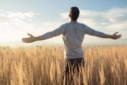 Psychothérapie et suivi