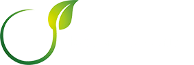 Raphael Joyeaux